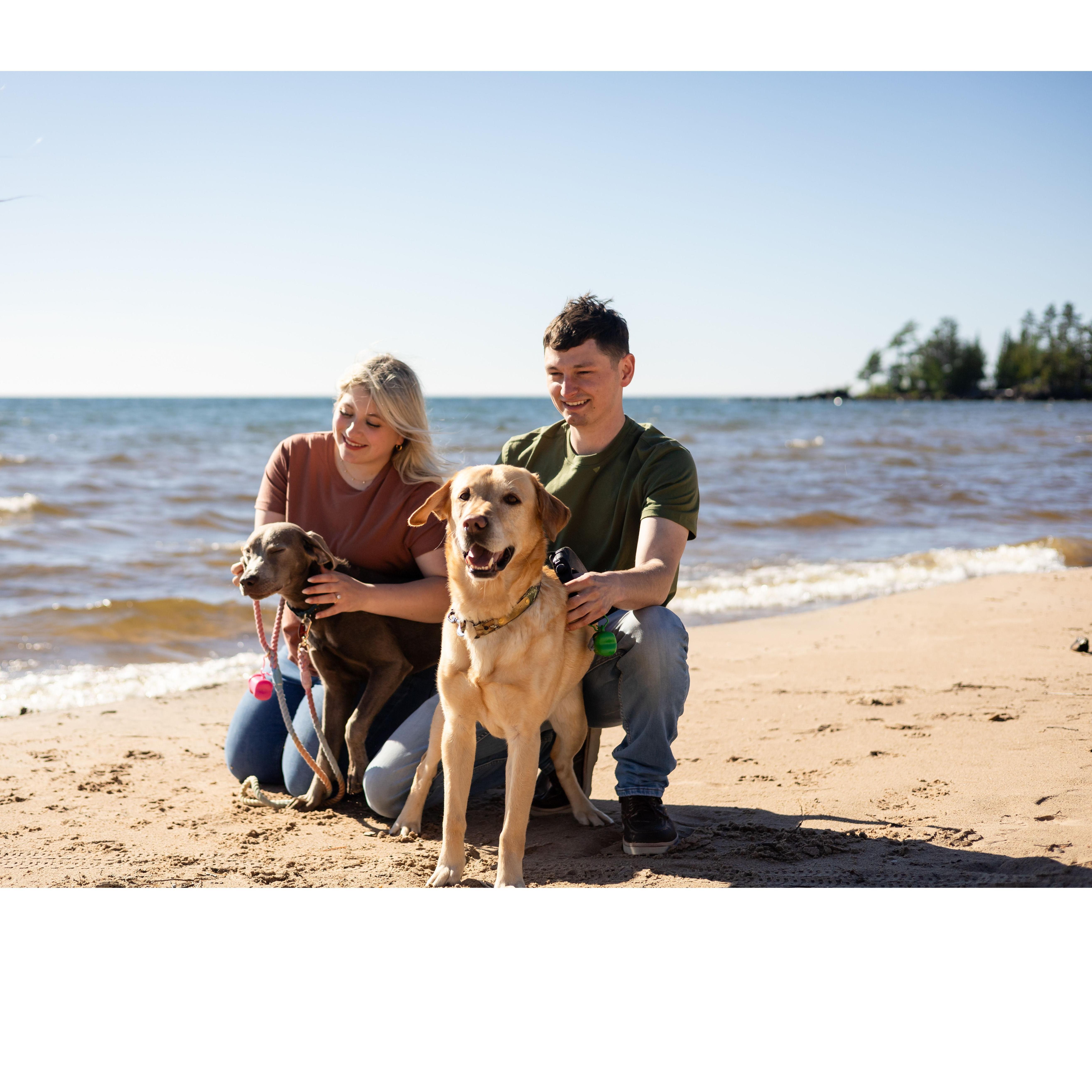 Engagement photos in the UP.. dogs included!