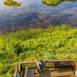 Wedgewood Wildlife Sanctuary