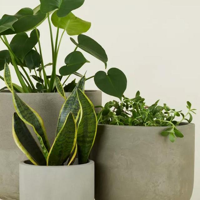 Hawkins New York Footed Fiber Cement Planter