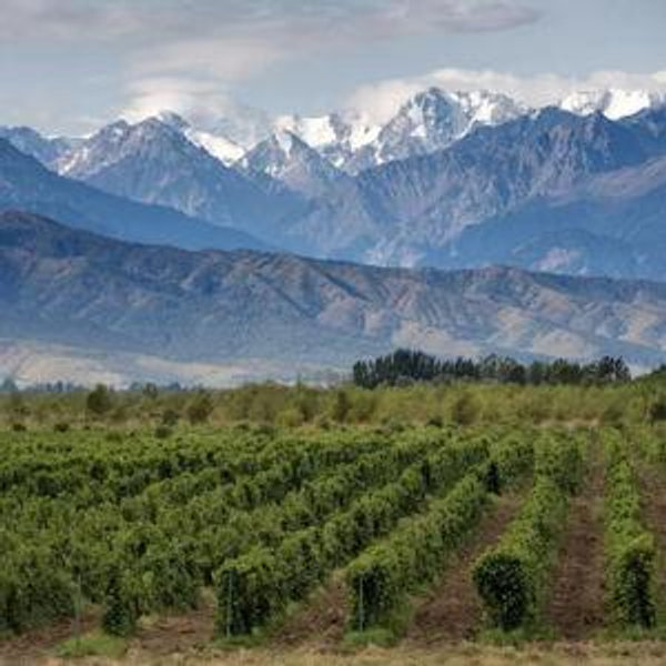 Our Honeymoon to Argentina