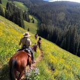 Horseback Riding