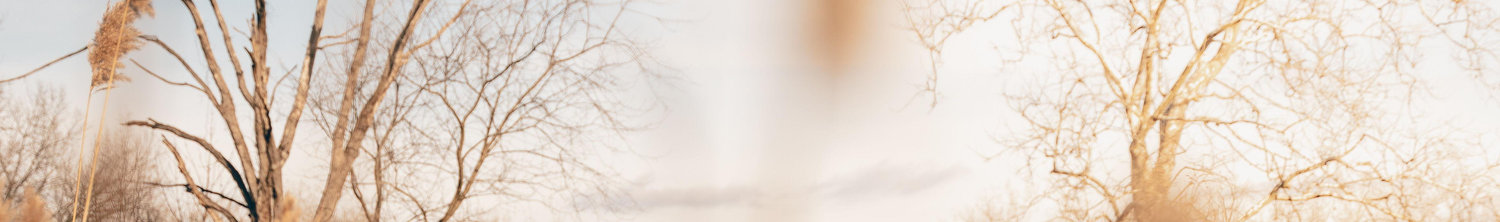 The Wedding Website of Gabriel Martinez and Mariana Peña