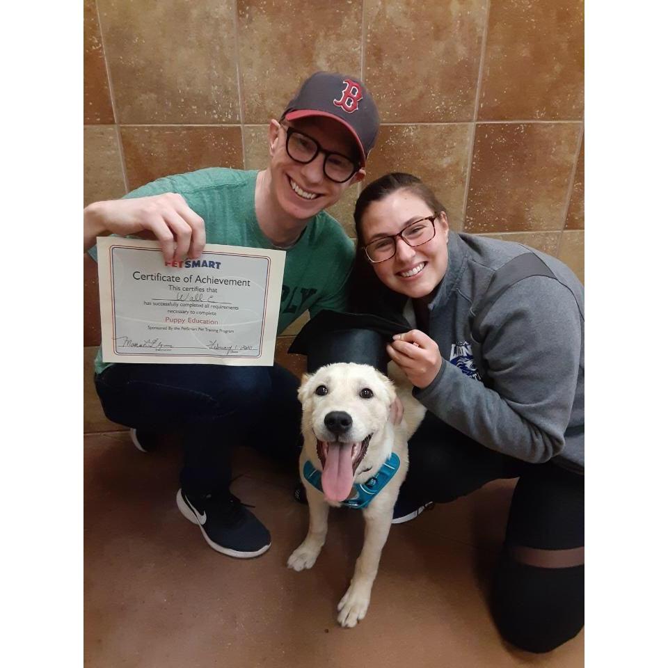 Wall-E graduated from puppy school!