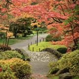 Arboretum