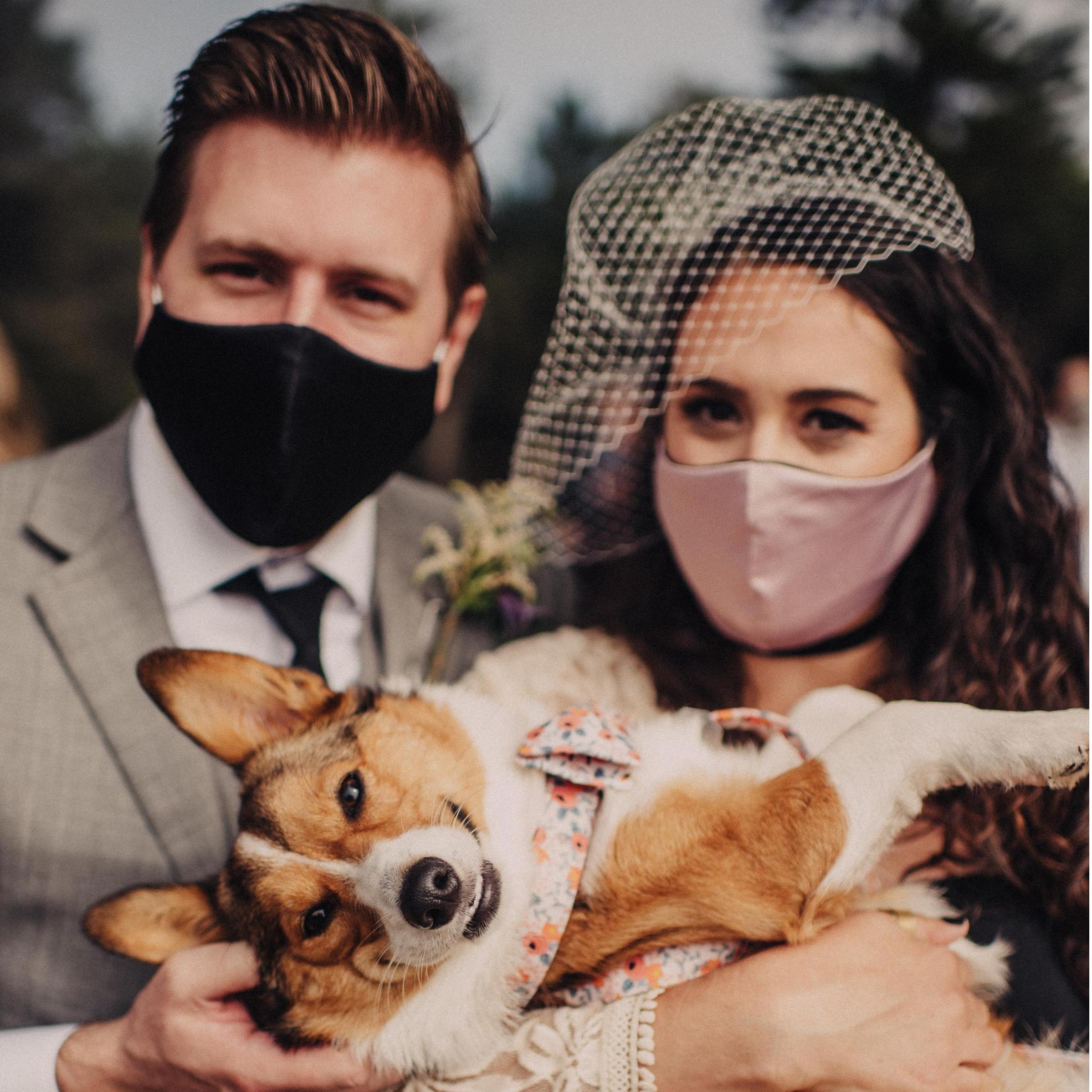 You can't have a Pagano wedding without Sadie-baby! She even wore her fanciest harness <3
