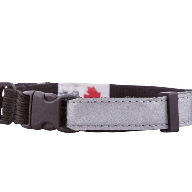 Reflective Elastic Insert Safety Cat Collars