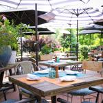 White Dog Cafe