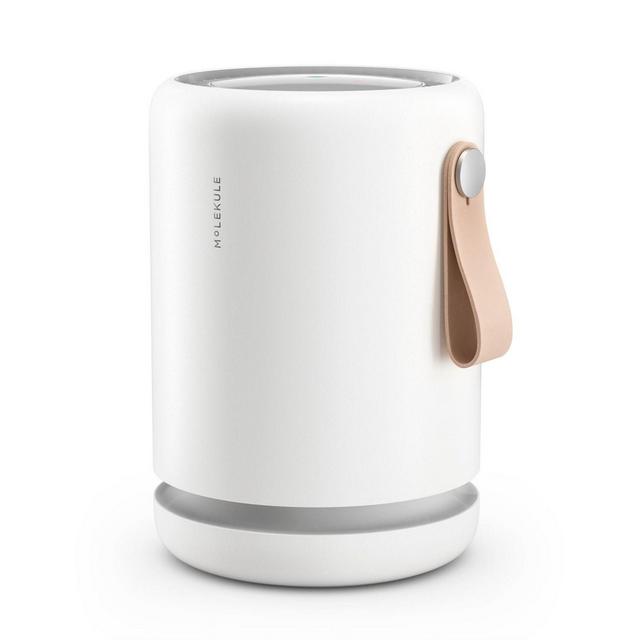 Molekule Air Mini+ with PECO-HEPA Tri Power Filter