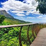Kirstenbosch National Botanical Garden