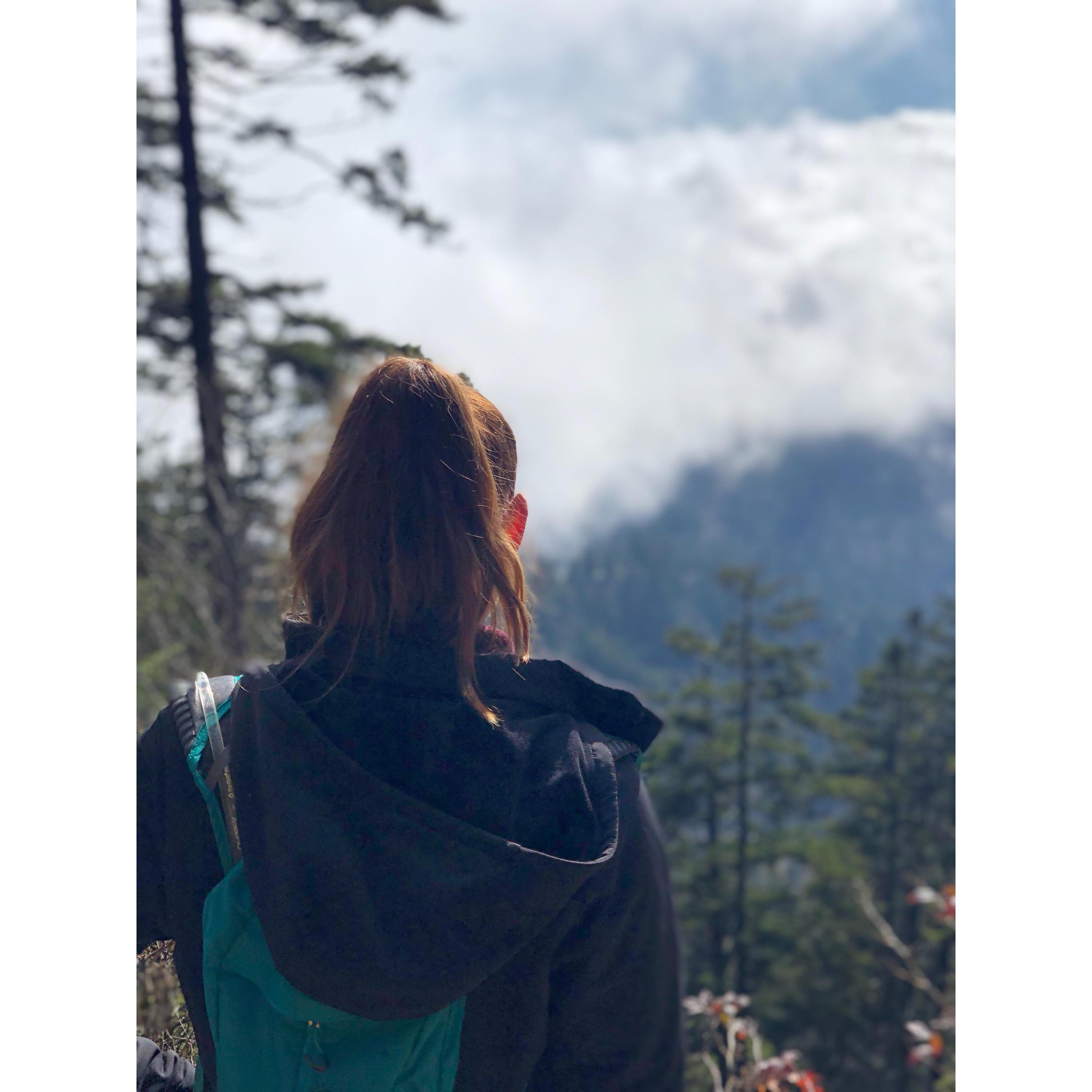 Smoky Mountains