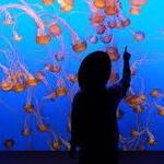 Monterey Bay Aquarium