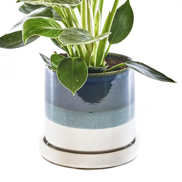 CHIVE ‘Minute’ Ceramic Planter Pot — Cute 5” Colorful Succulent Pots for Indoor & Outdoor House Plants — Beautiful Modern Farmhouse Kitchen Decor — Green Blue