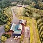 Carter Mountain Orchard and Country Store