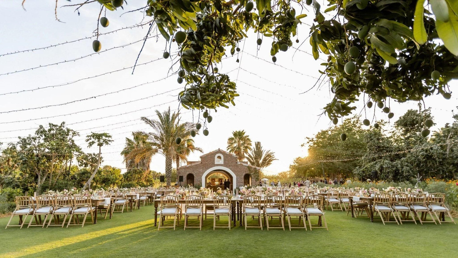The Wedding Website of Stacie Wolfgram and Matt Escobar