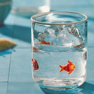 Icon Juice Glass - Goldfish