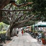 Jardín de la Unión