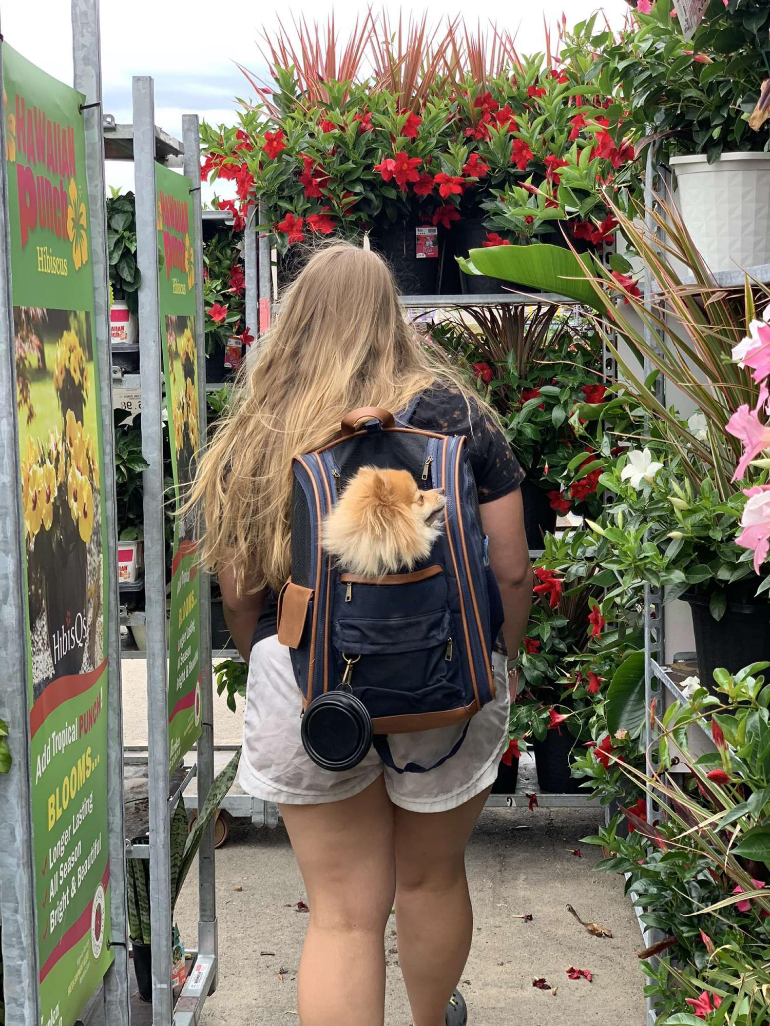 Carmel enjoys her Home Depo adventures as much as we do.