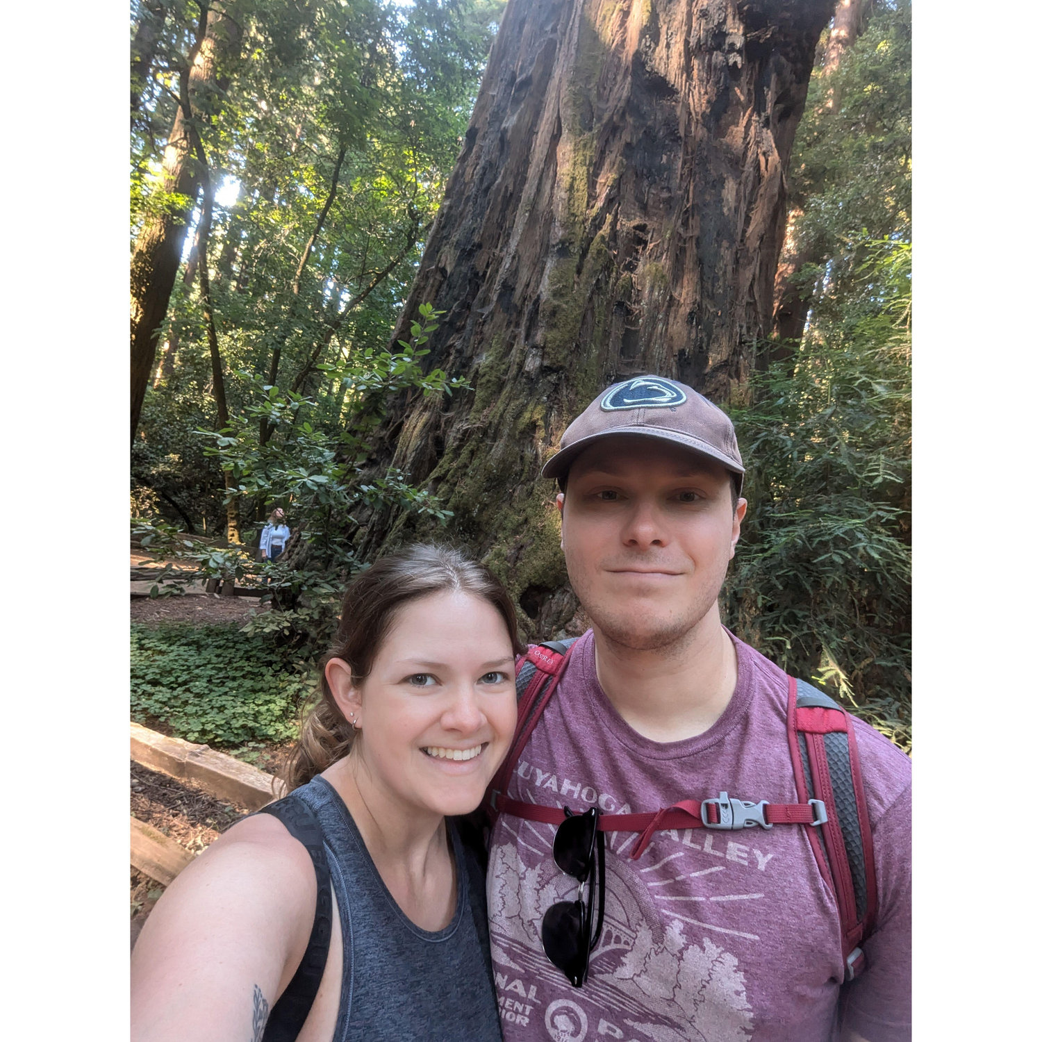 Seeing the California Redwoods