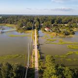 Spanish Moss Trail