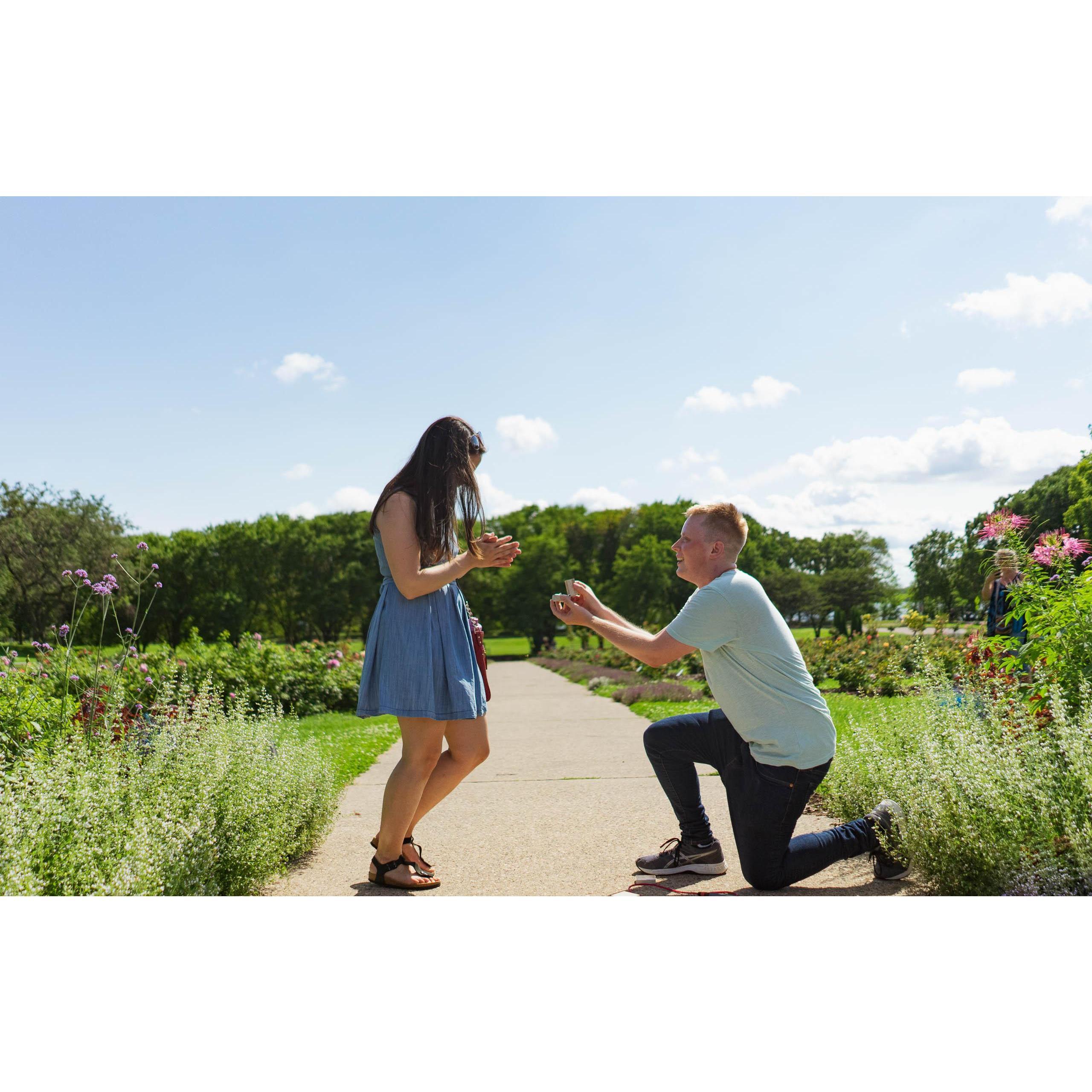 Chris's proposal (Rose Garden, Lake Harriet, Minneapolis, July 2020)