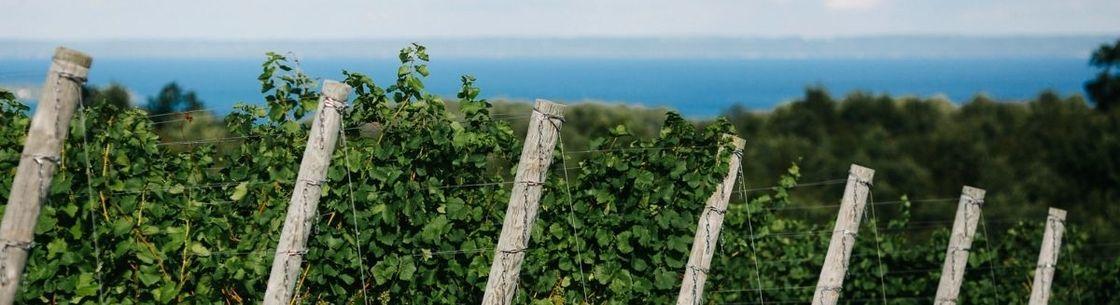The Wedding Website of Ally Gregory and Nathan Heller