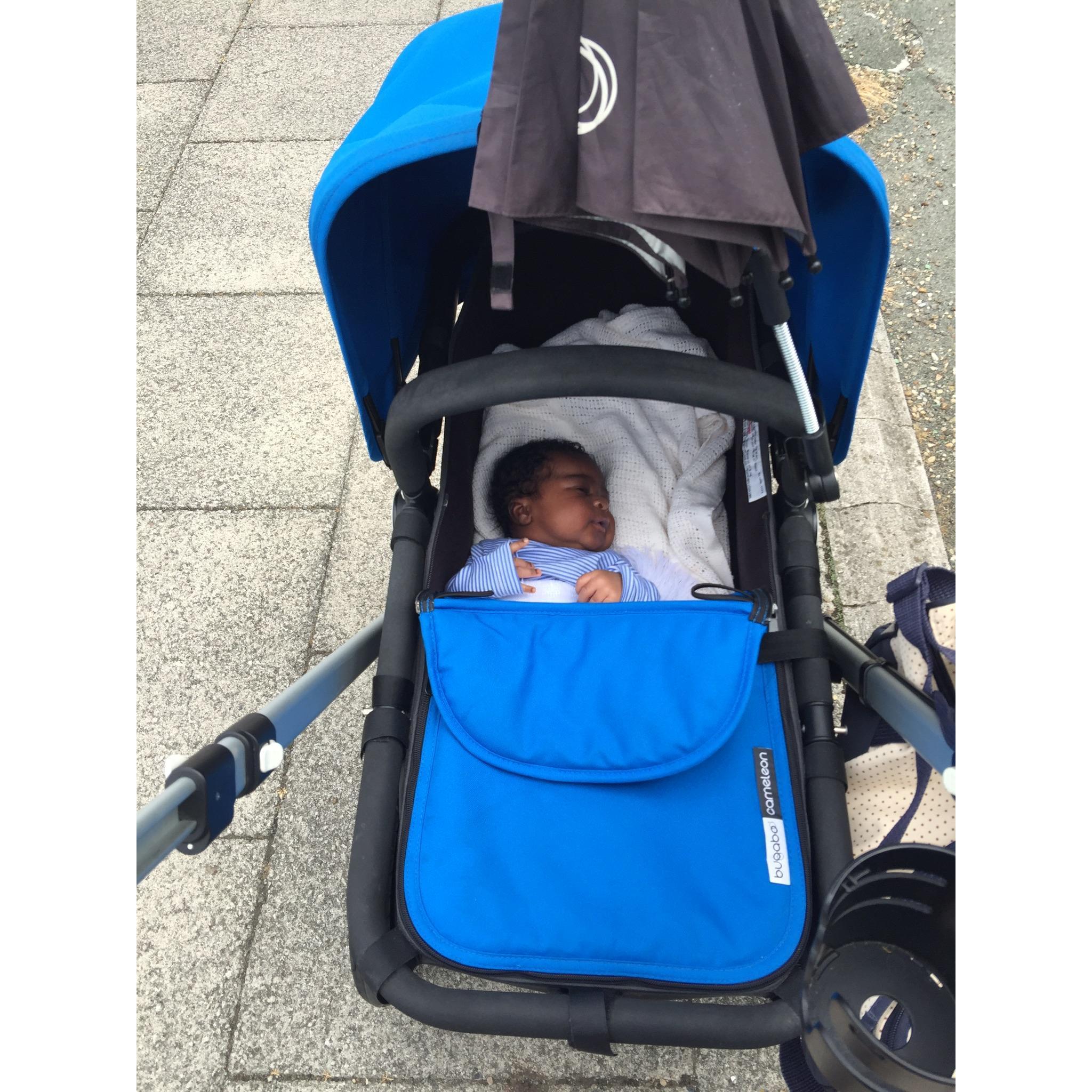 Taking our little bear for a walk