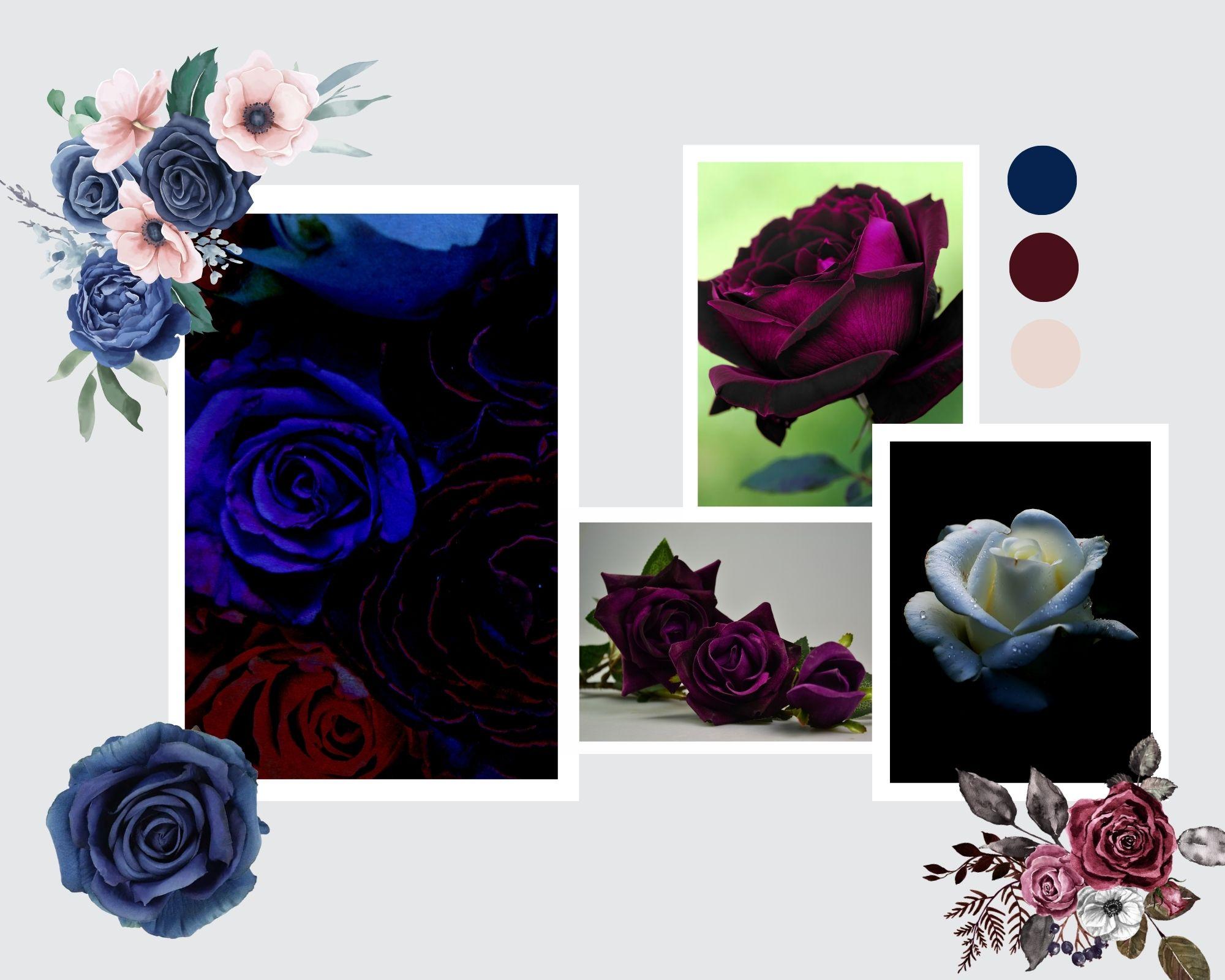 The Wedding Website of Stephanie Bird and Matt Burton