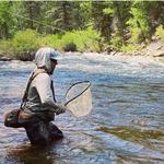 Fly Fishing