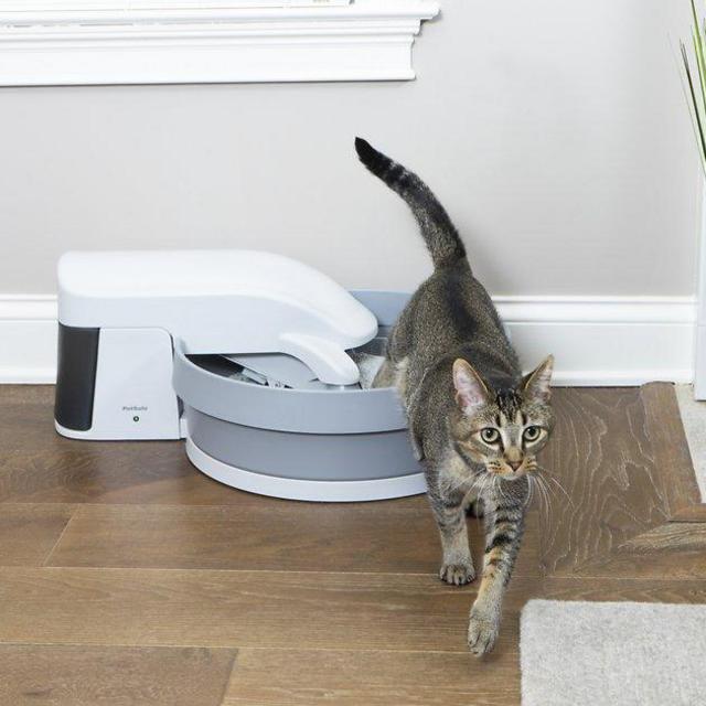PETSAFE Simply Clean Self-Cleaning Litter Box (Free Shipping) | Chewy