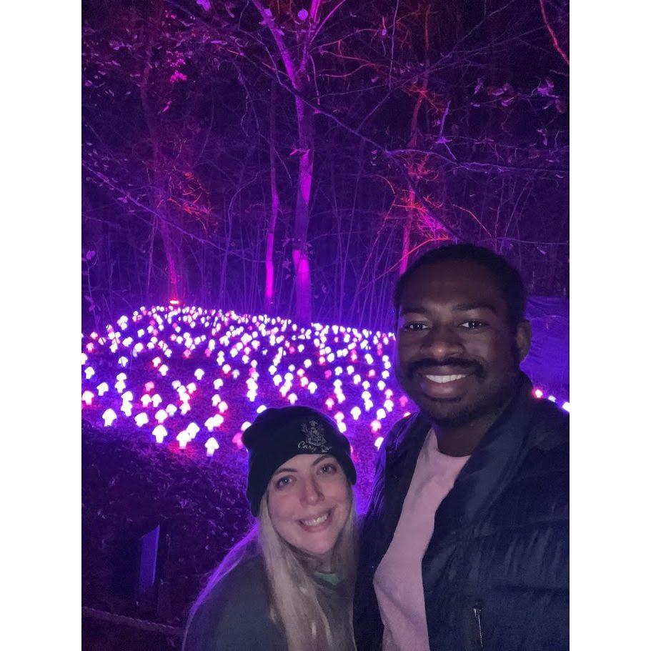 Harry Potter Forbidden Forest!