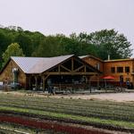 9 Bean Rows