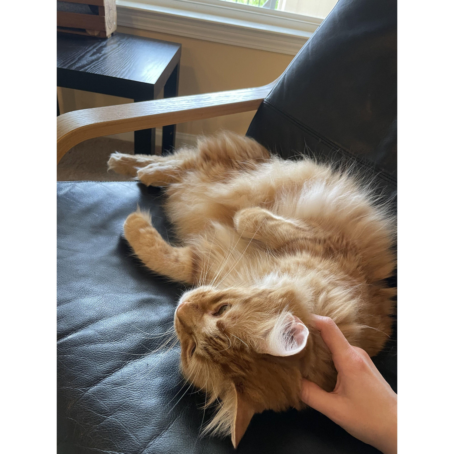 Caramel