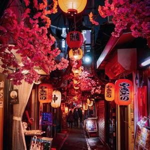 Our Honeymoon in Japan
