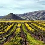 SLO Wine Country