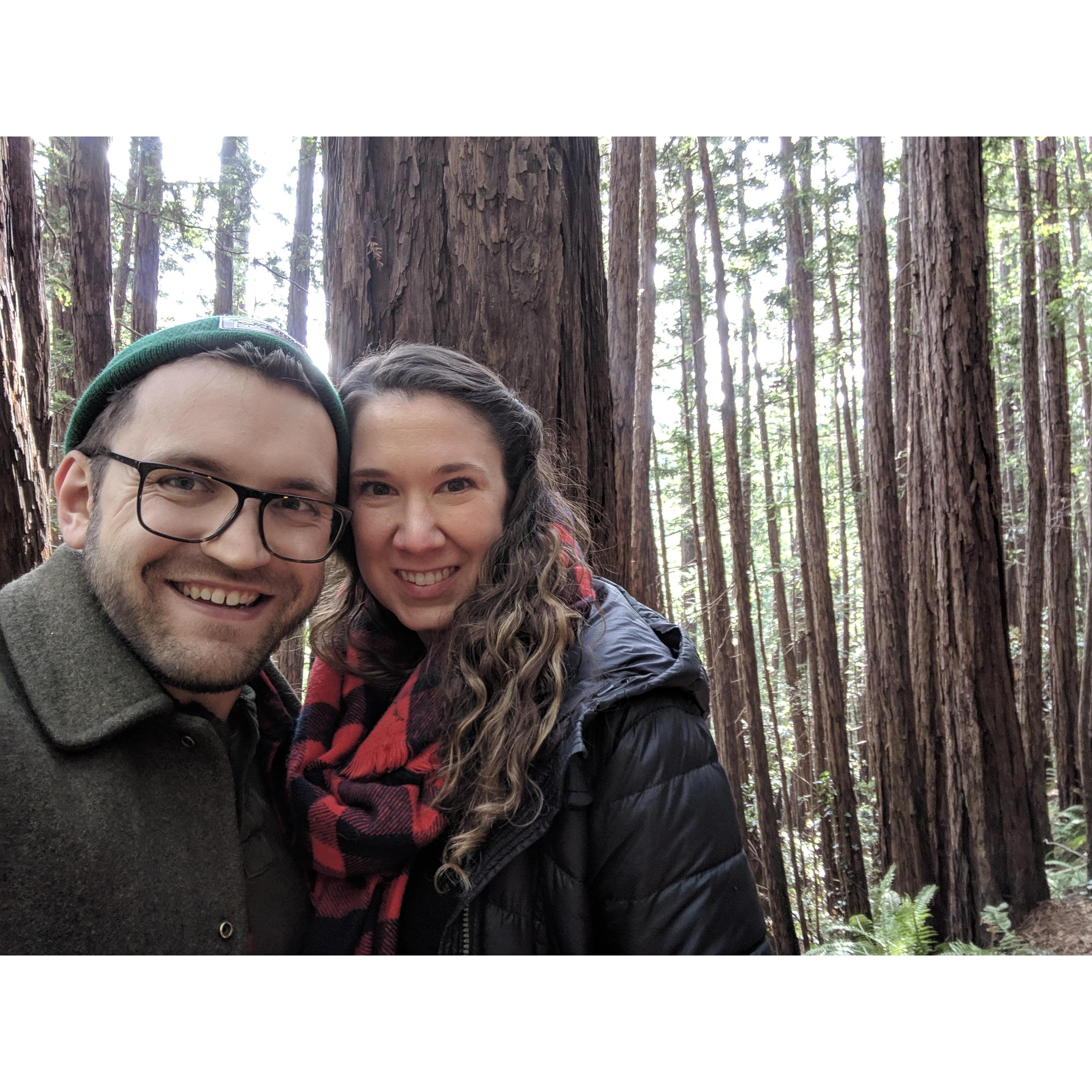 Muir Woods