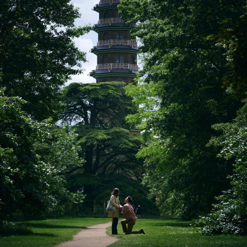 The proposal