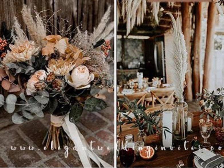 The Wedding Website of Cayden Rezapour and Charles Rezapour