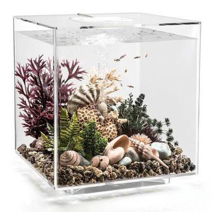 biOrb Cube 30 Aquarium with LED