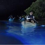 Kayaking in the bioluminescent bay