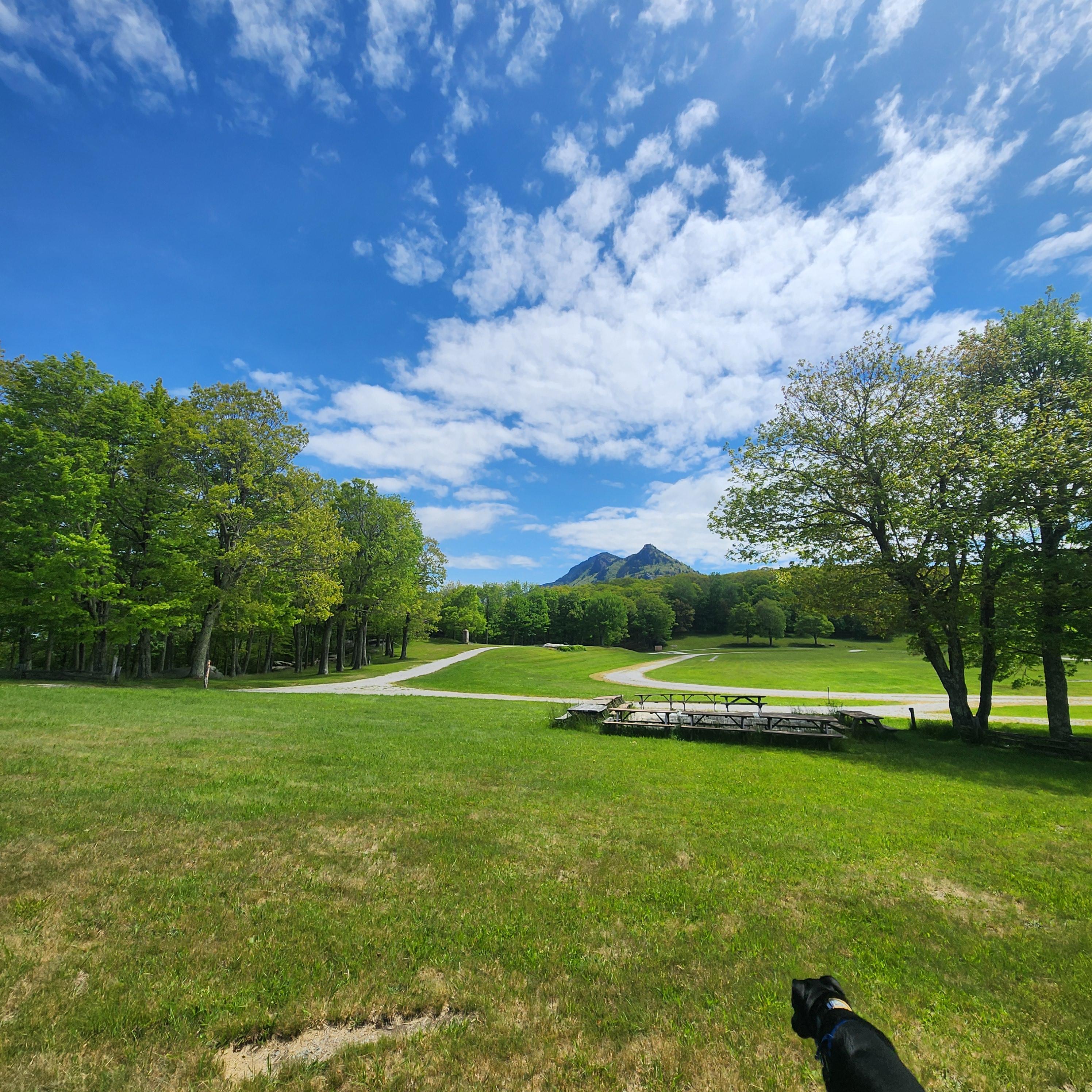 You’ll park in grass like this—if it’s rained recently, it could be muddy—and walk up a grassy field to the main gate, which is pictured in the header photo on this page.
Cameo: Our dog Artie :)