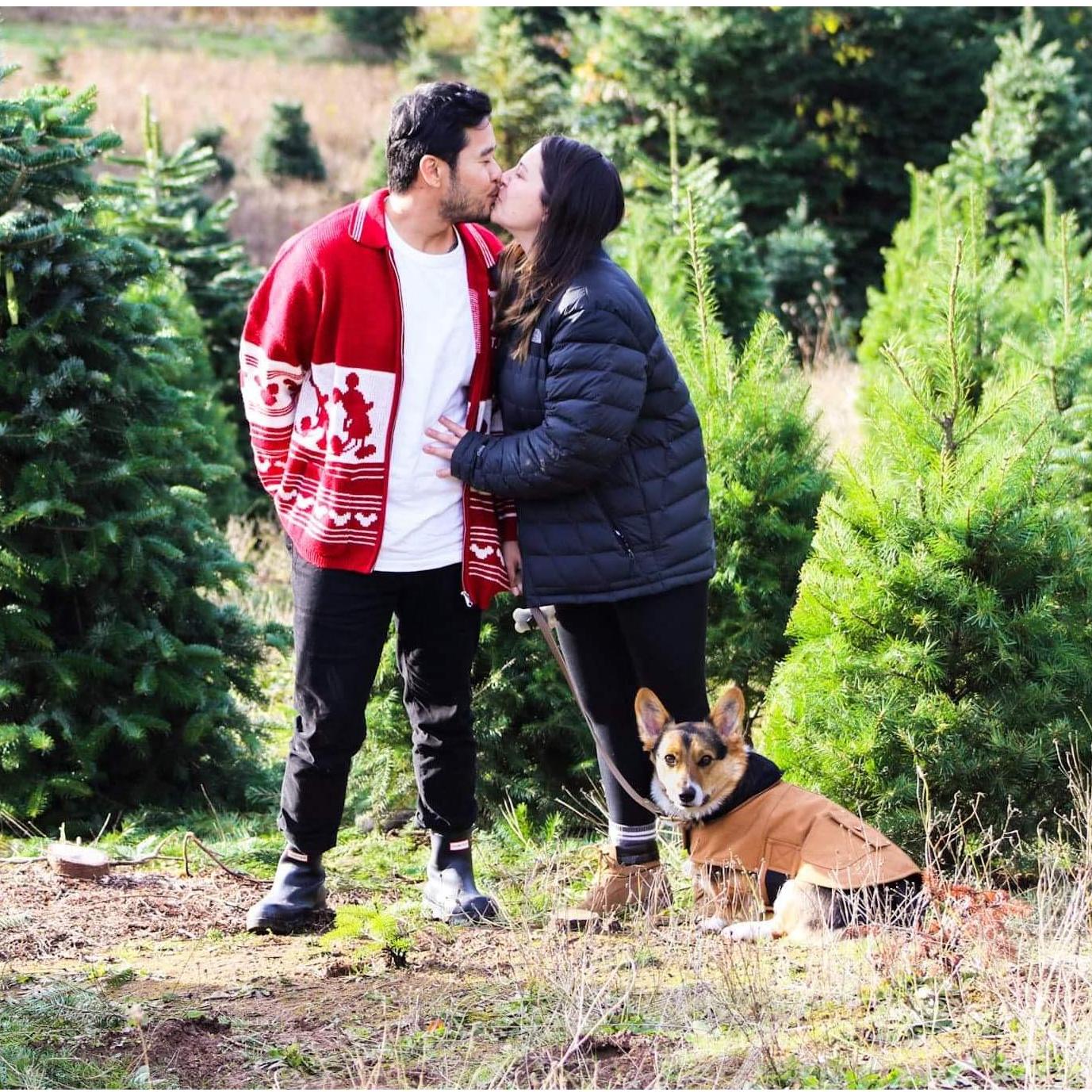 We love taking Christmas photos