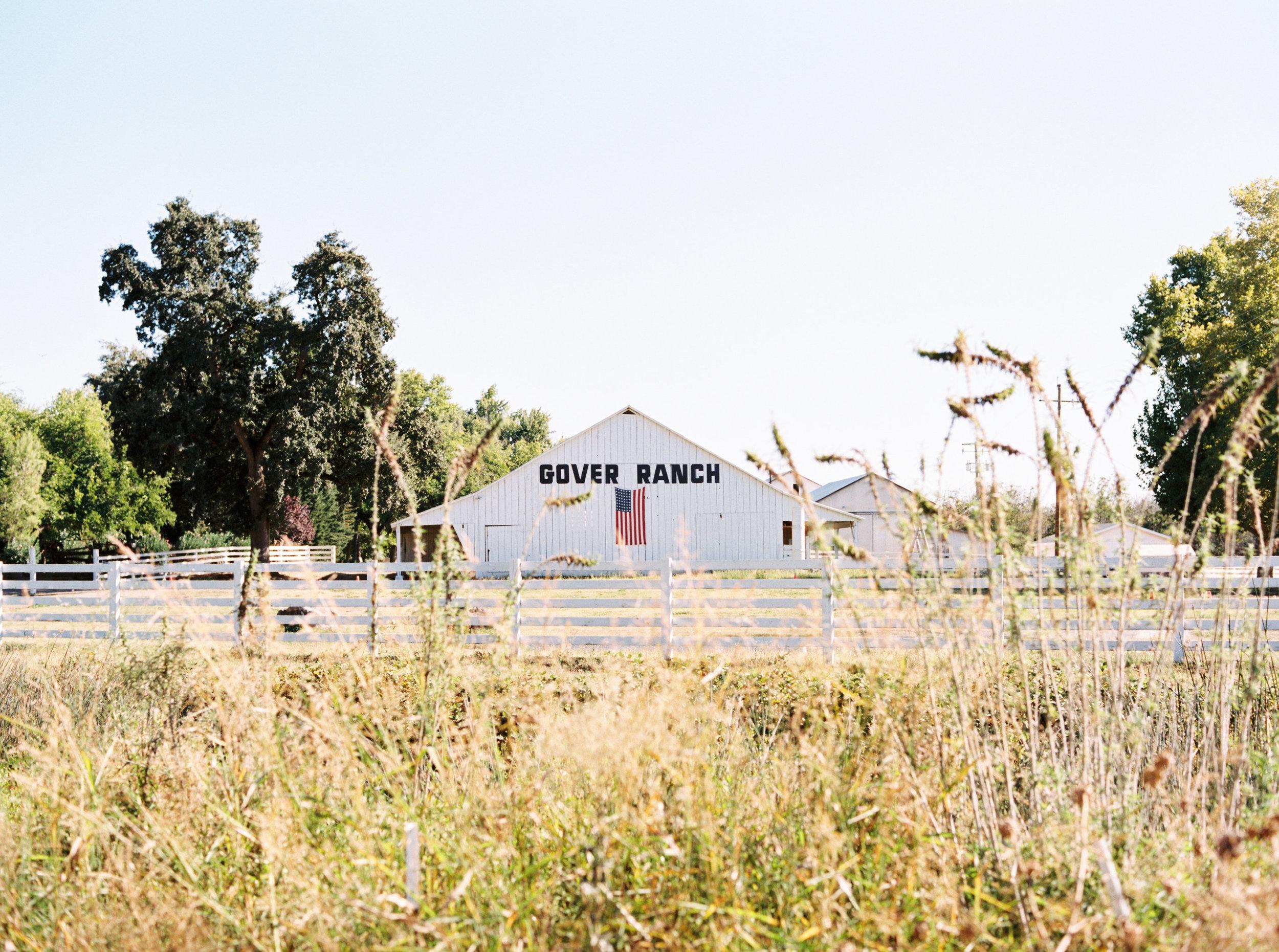 The Wedding Website of Alexis Gallardo and Niko Doyle