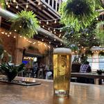 Casual Animal Brewing Co