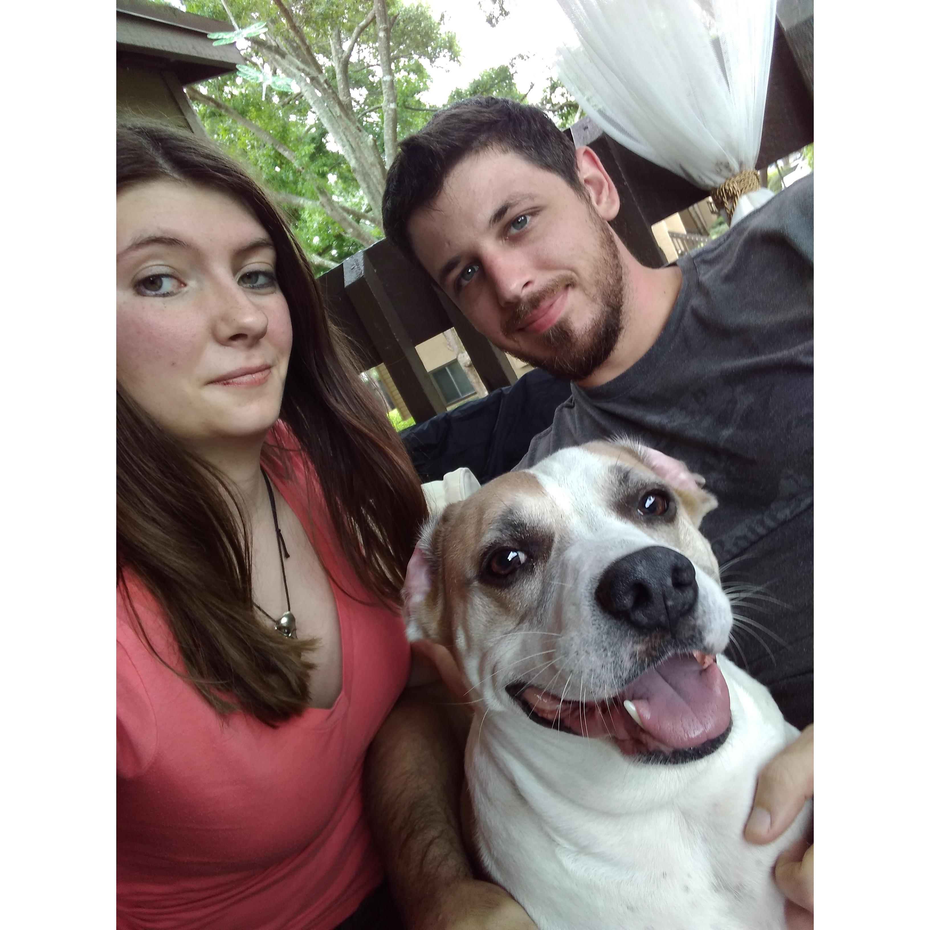 Puppy Smiles