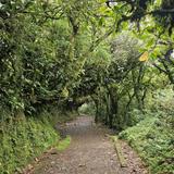 Monteverde Cloud Forest Biological Preserve
