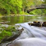 Wissahickon Valley Park