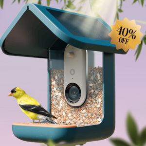 Birdbuddy Pro Solar