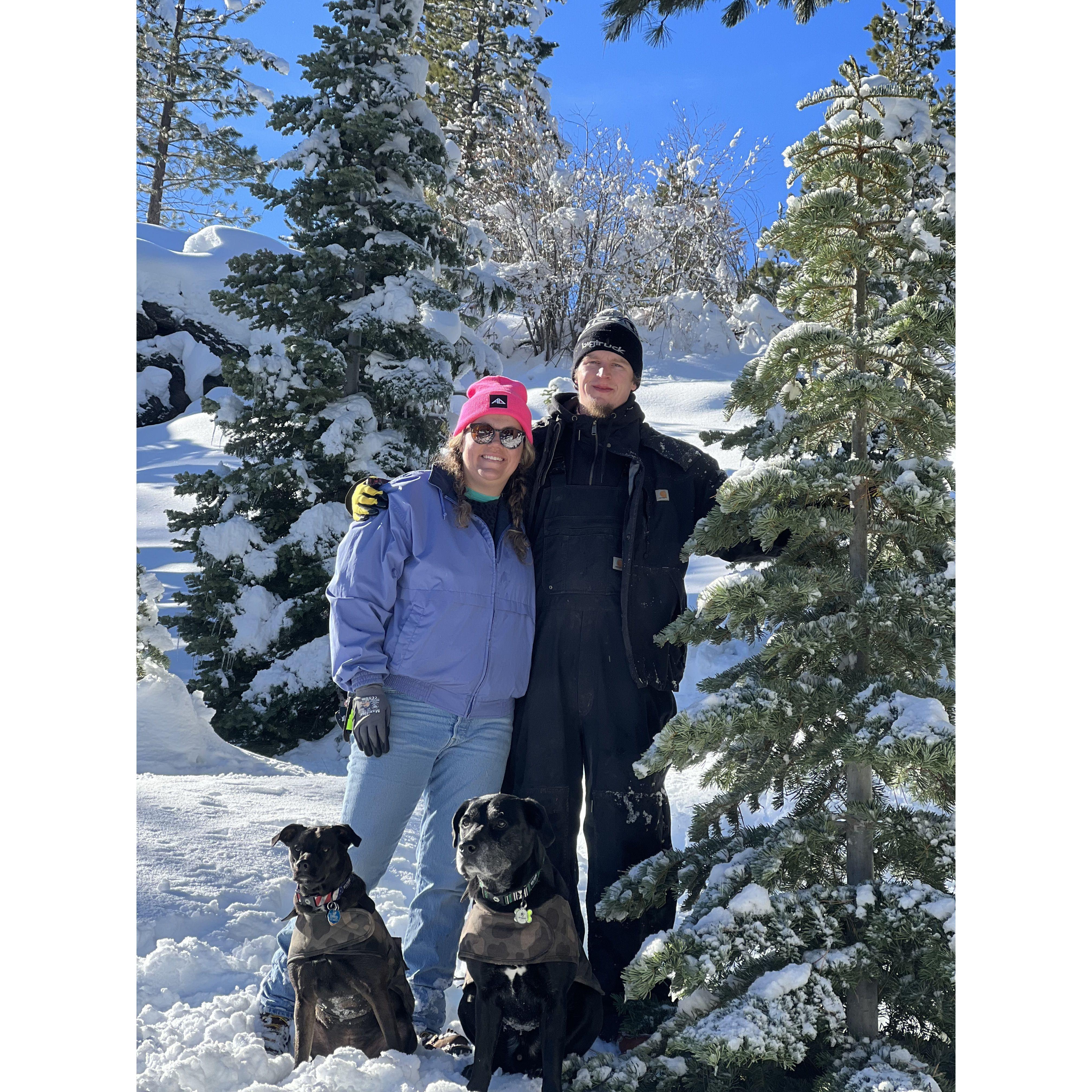 Christmas tree hunting for the last time as an engaged couple