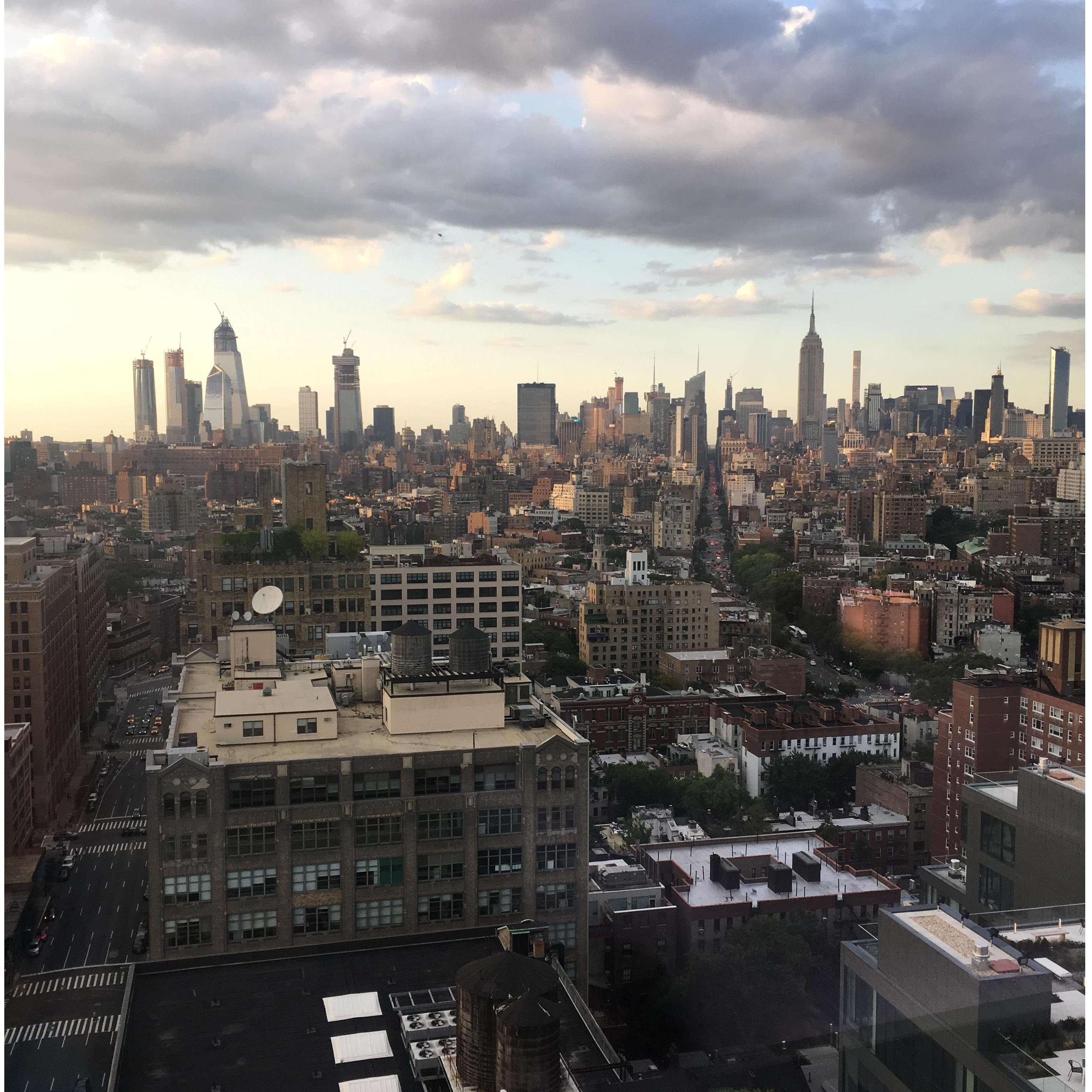 The View