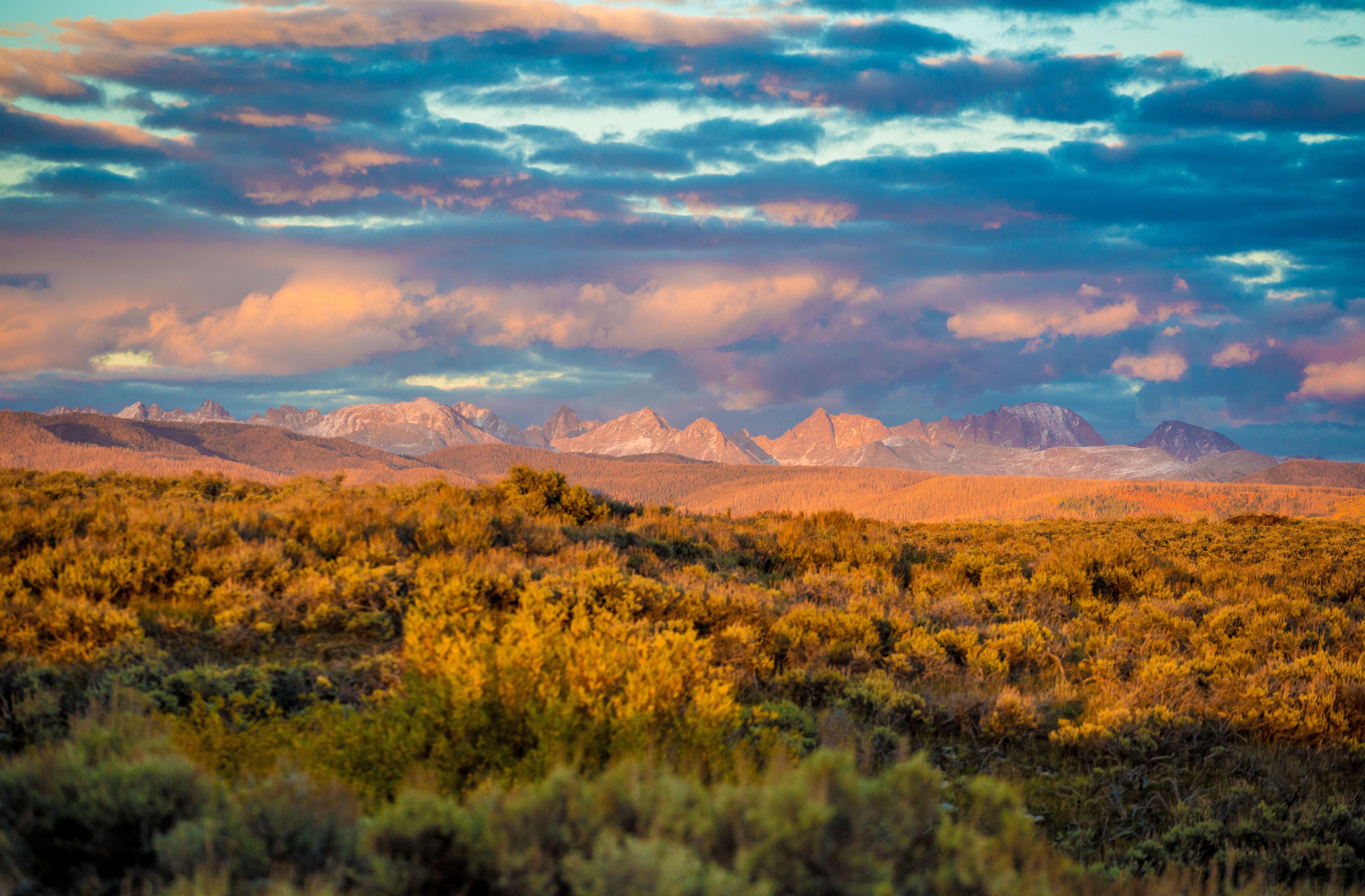 The Wedding Website of Samantha Crosland and Tyler Blackmon